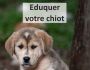 �duquer votre chiot