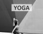 Yoga. Le guide complet du d�butant