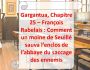Gargantua, Chapitre 25 - Franois Rabelais