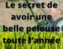 Le secret de avoir une belle pelouse toute l'ann�e