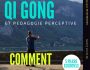 Ebook Qi gong