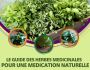 Le guide des herbes m�dicinales
