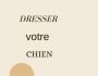 Dresser son Chien Plus Facilement
