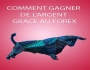 Comment Gagner De L'Argent Grace Au Forex