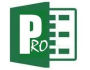 PLANNING-EXCEL PRO